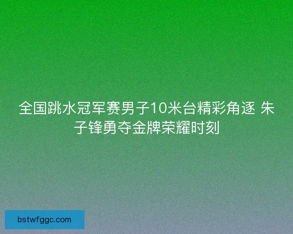 全国跳水冠军赛男子10米台精彩角逐 朱子锋勇夺金牌荣耀时刻